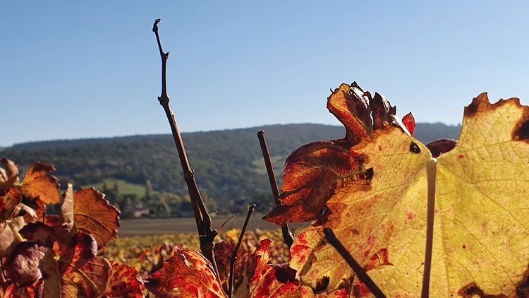 Couleurs d'automne