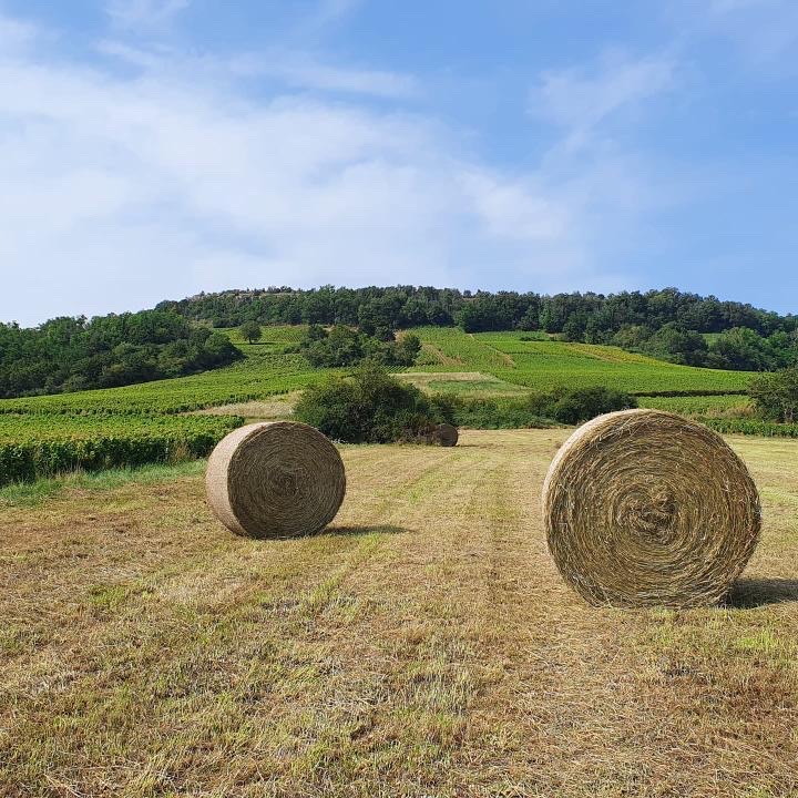 le temps de la moisson