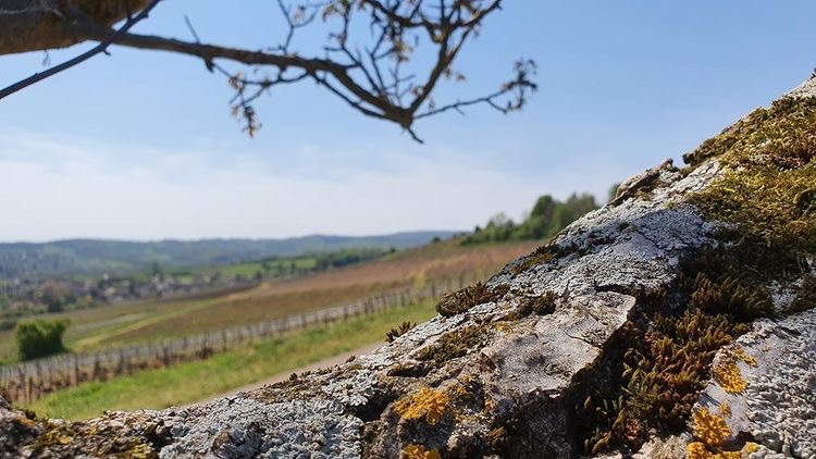 vue des chaumes