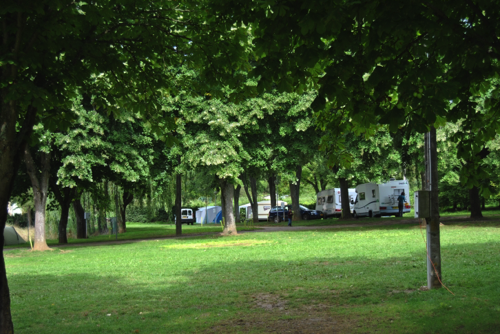 camping ombragé